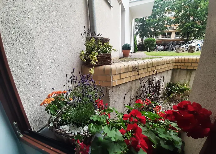 Apartamenty Aleksandry_ Ecco Balance