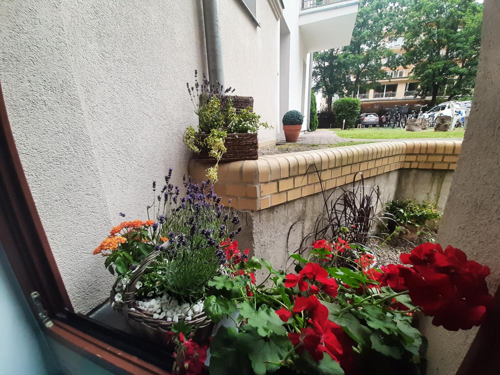 Aleksandry_ Ecco Balance Apartment *